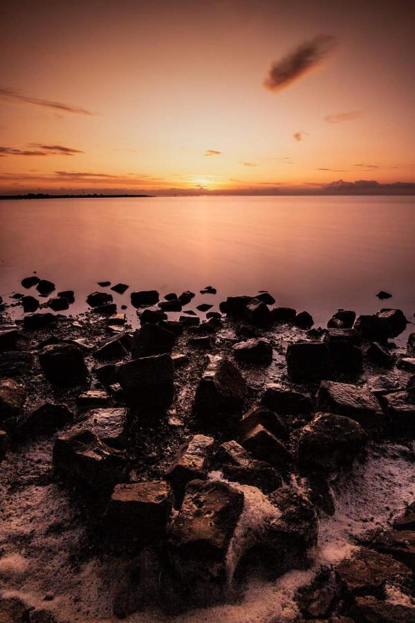 Vissershuisje Aan De Waddenzee Paesens Exterior foto